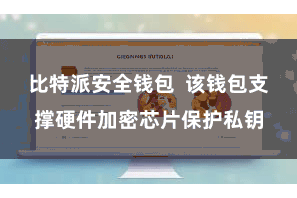比特派安全钱包  该钱包支撑硬件加密芯片保护私钥